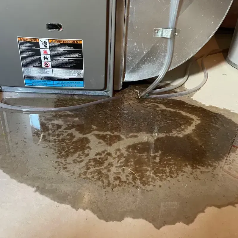 Appliance Leak Cleanup in Twin Falls, ID